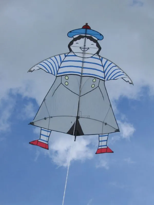 Les cerfs-volants en vol — image 2