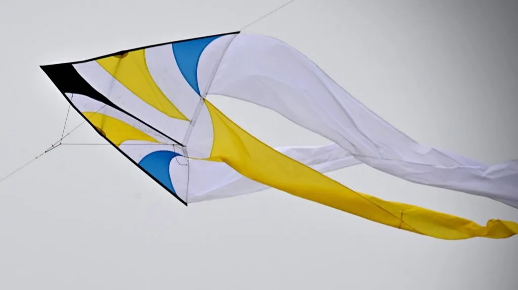Les cerfs-volants en vol — image 6