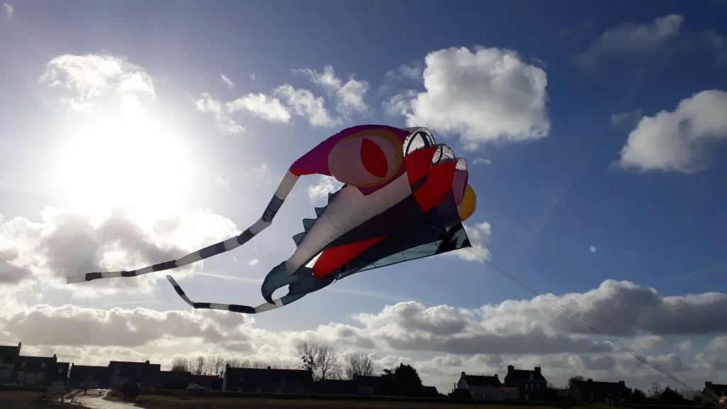 Les cerfs-volants en vol — image 8