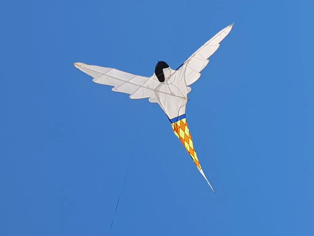 Les cerfs-volants en vol — image 10
