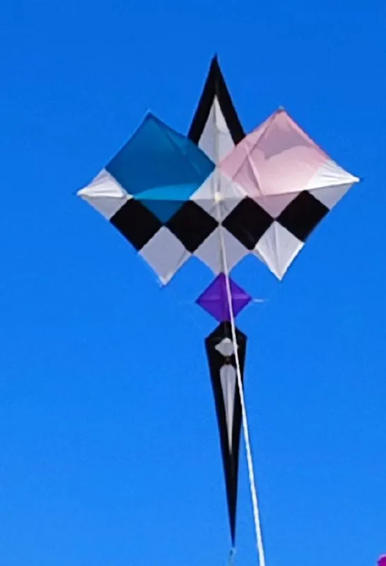 Les cerfs-volants en vol — image 12