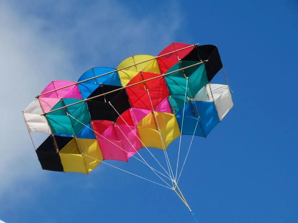 Les cerfs-volants en vol — image 15