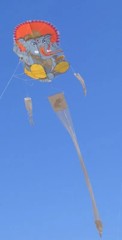 Les cerfs-volants en vol — image 17