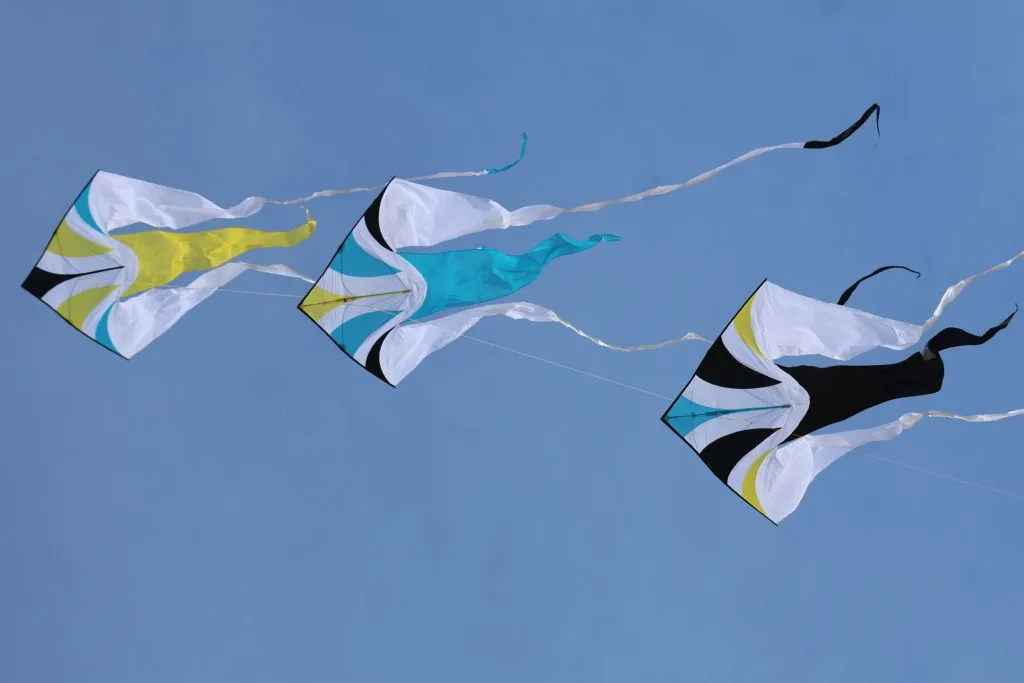 Les cerfs-volants en vol — image 25