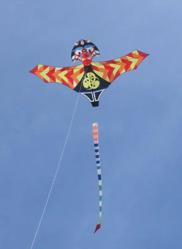 Les cerfs-volants en vol — image 29