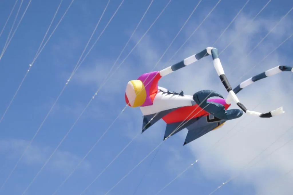 Les cerfs-volants en vol — image 32